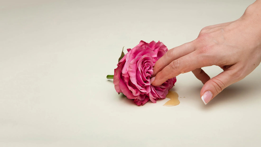 Después de una infección vaginal: cómo recuperar tu equilibrio íntimo